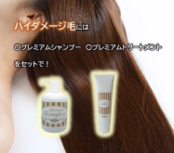 画像6: ココイルプレミアムシャンプー (6)